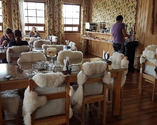 EL OVEJERO PATAGONICO 3